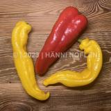 Peperoni farbig Horn