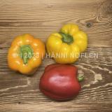 Peperoni farbig Block