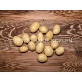 Frühkartoffeln