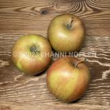Äpfel Braeburn säuerlich