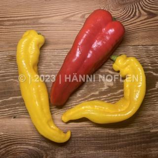 Peperoni farbig Horn