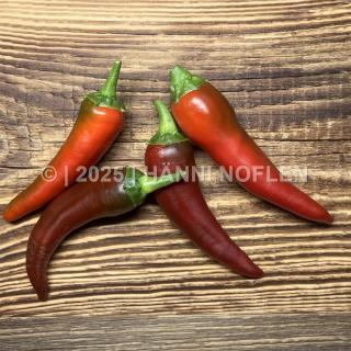 Peperoncini