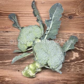 Broccoli