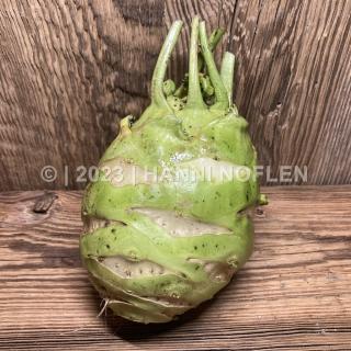 Winterkohlrabi