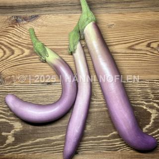 Aubergine Pink Lady Asia-Typ