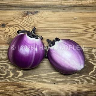 Aubergine  violett-weiss