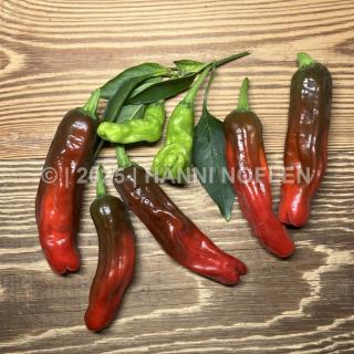 Brat-Peperoni Shishito (nicht scharf)