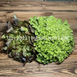 Sommersalate kg
