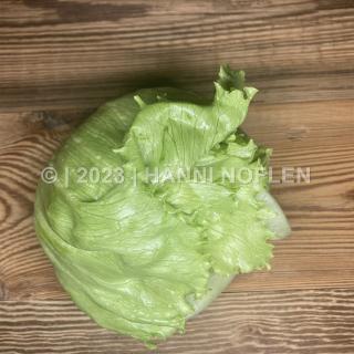 Eisbergsalat