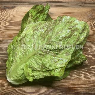 Forellensalat