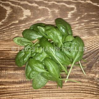 Spinat Baby-Leaf