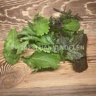 ASIA-Salat