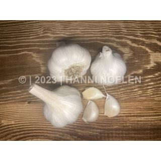 Knoblauch trocken