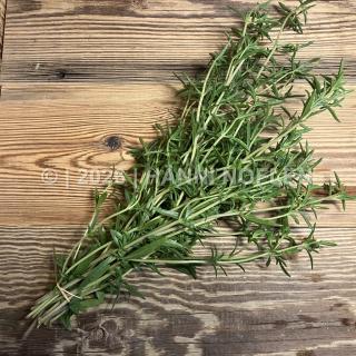 Bohnenkraut