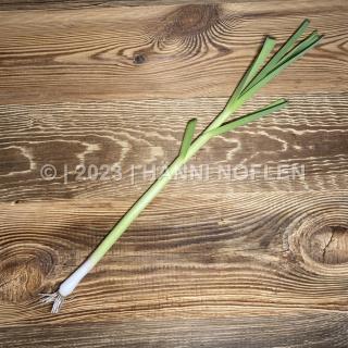 Knoblauch frisch ST