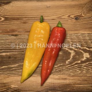 Peperoni farbig