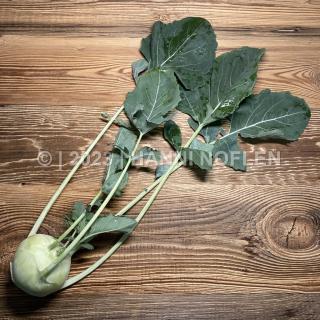 Kohlrabi St