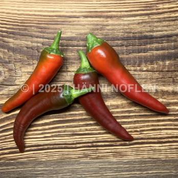 Peperoncini