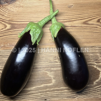 Auberginen