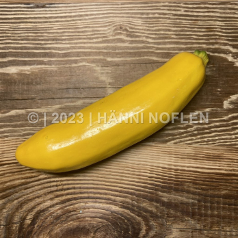 Zuchetti gelb