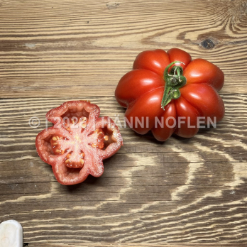 Tomate gezahnte "Selektion Lorena"