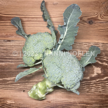 Broccoli