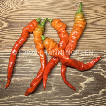 Peperoni Sigharetta di bergamo