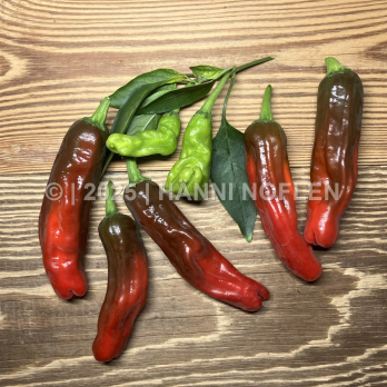Brat-Peperoni Shishito (nicht scharf)