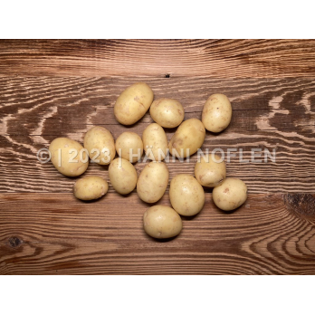 Frühkartoffeln