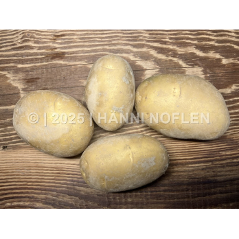 Kartoffeln Agata festkochend