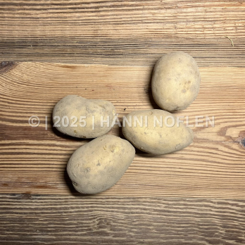 Kartoffeln Vitabella festkochend