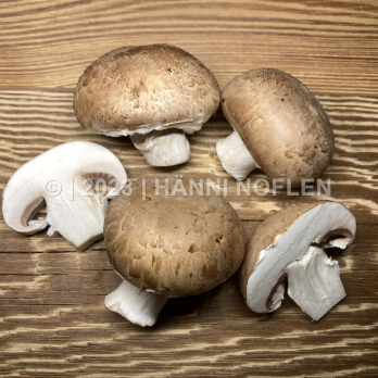 Champignons braun